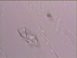 crystal