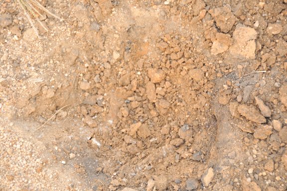 dirt